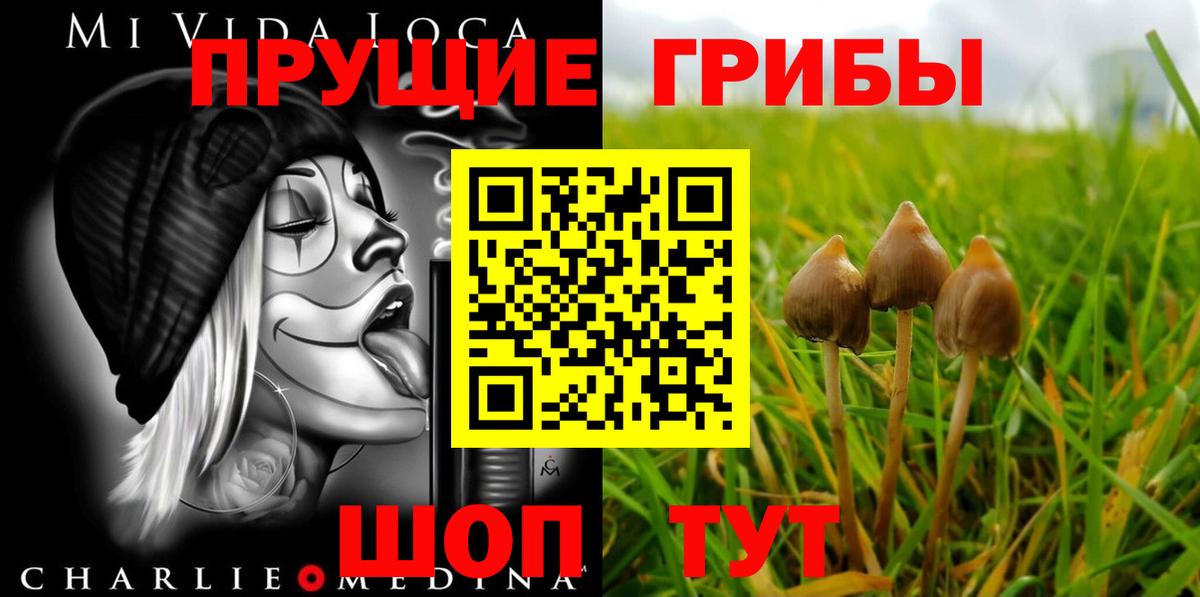 купить наркоту  Вход с VPN  Ленинск-Кузнецкий  Псилоцибиновые грибы мицелий 